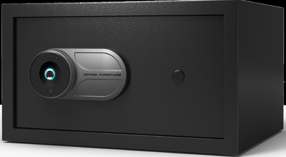 프린트프저 잠금장치와 다중 기능적 스틸 안전 박스